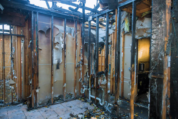 Professional Fire Damage Removal technician working in Ambridge, PA